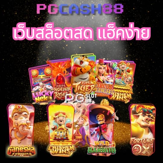 เว็บcat888